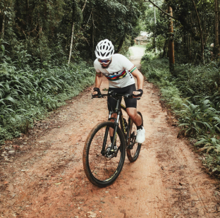 Cycling Tours through Forested Routes