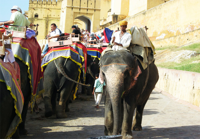 grand rajasthan